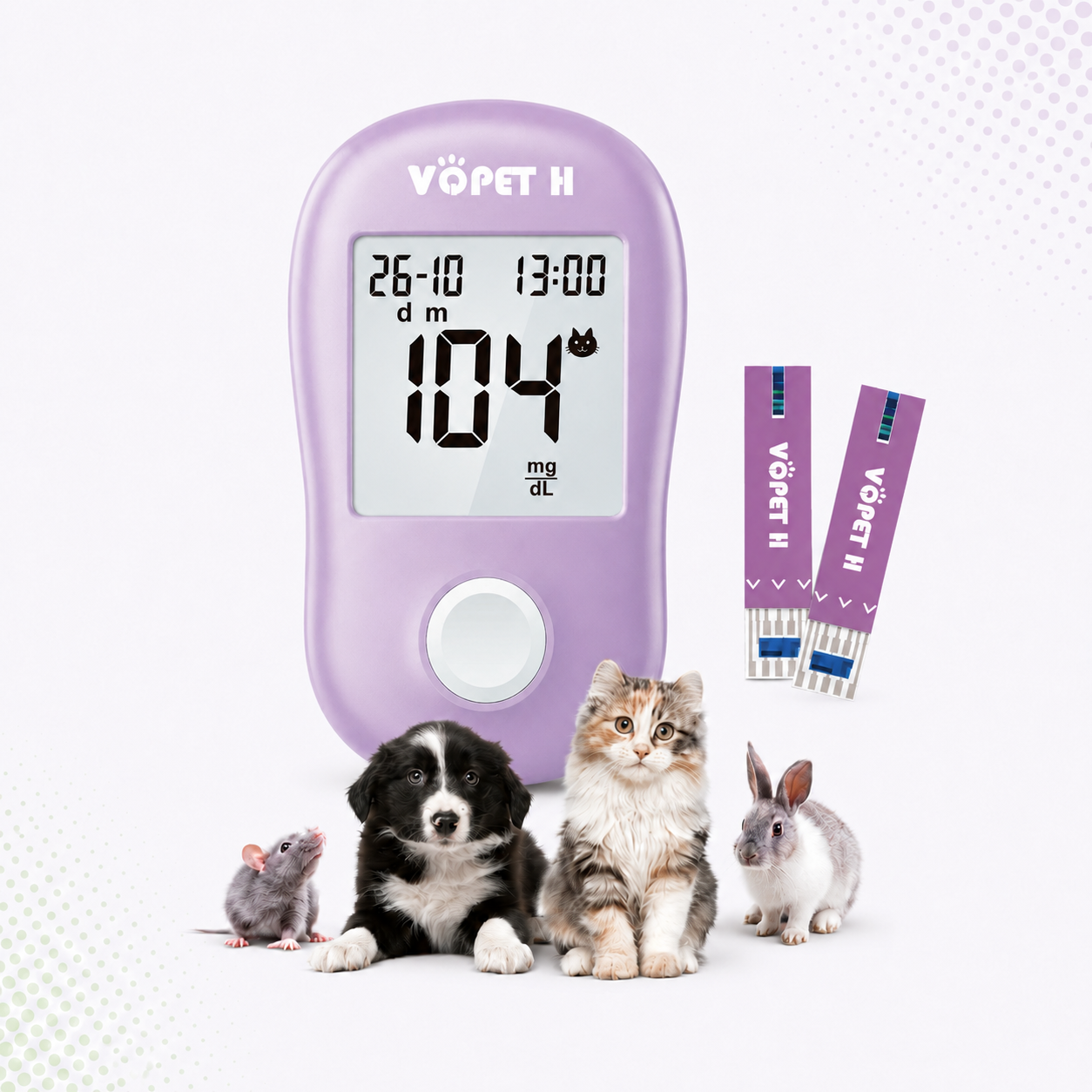 Blood Glucose System — At-home Testing